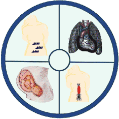 image/logo: CEUS/SCDU